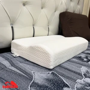 Bantal Ergonomis