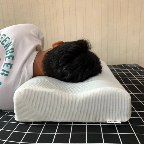 Bantal Ergonomis
