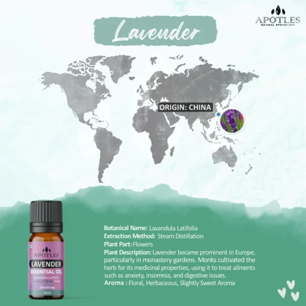 Essential Oil Lavender