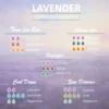 Essential Oil Lavender