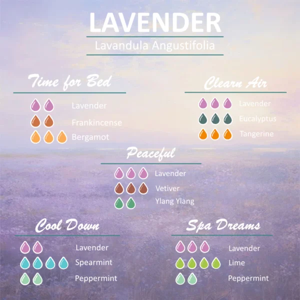 Essential Oil Lavender