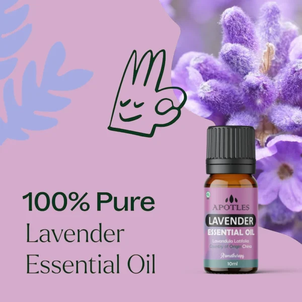 Essential Oil Lavender